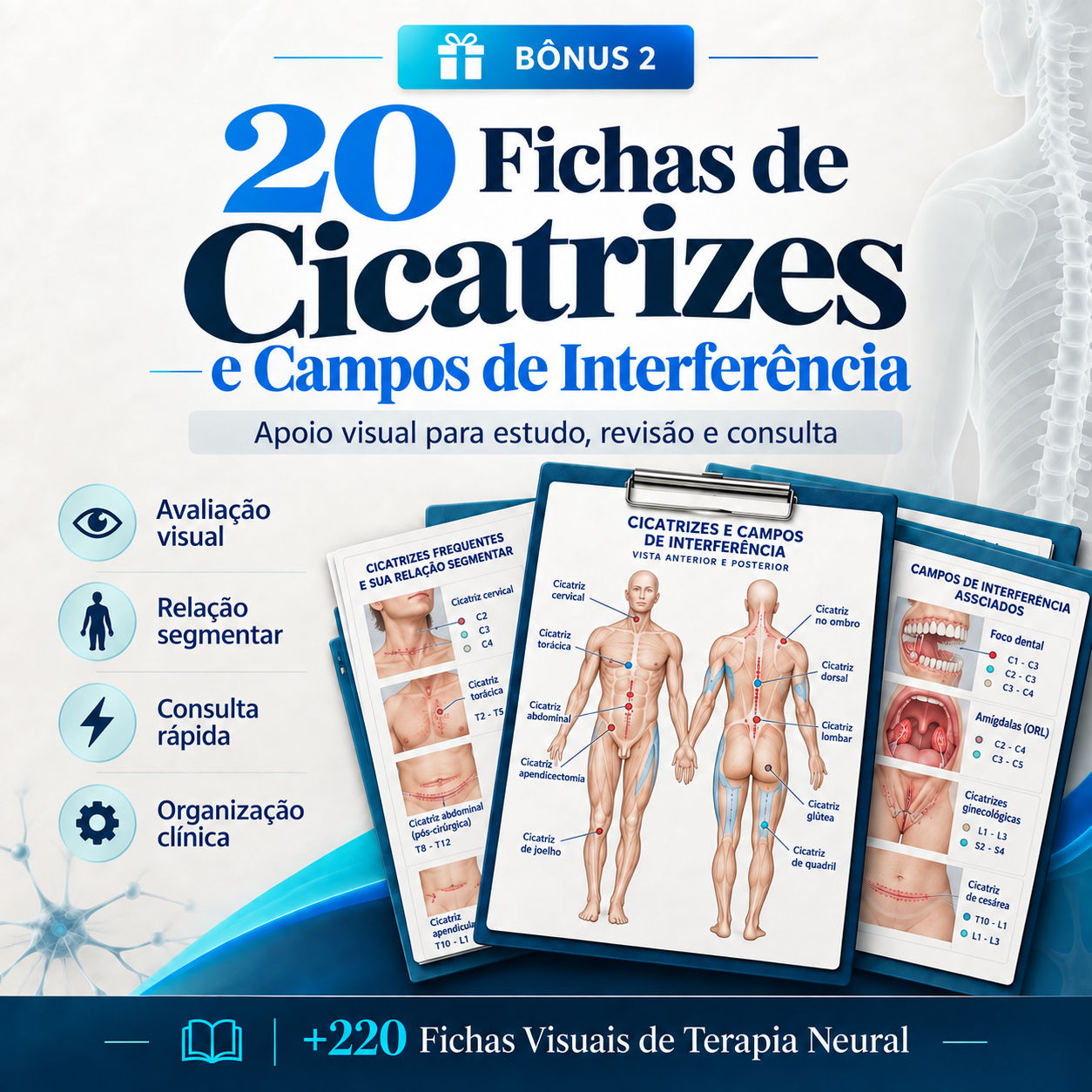 Fichas de Cicatrizes e Campos de Interferência