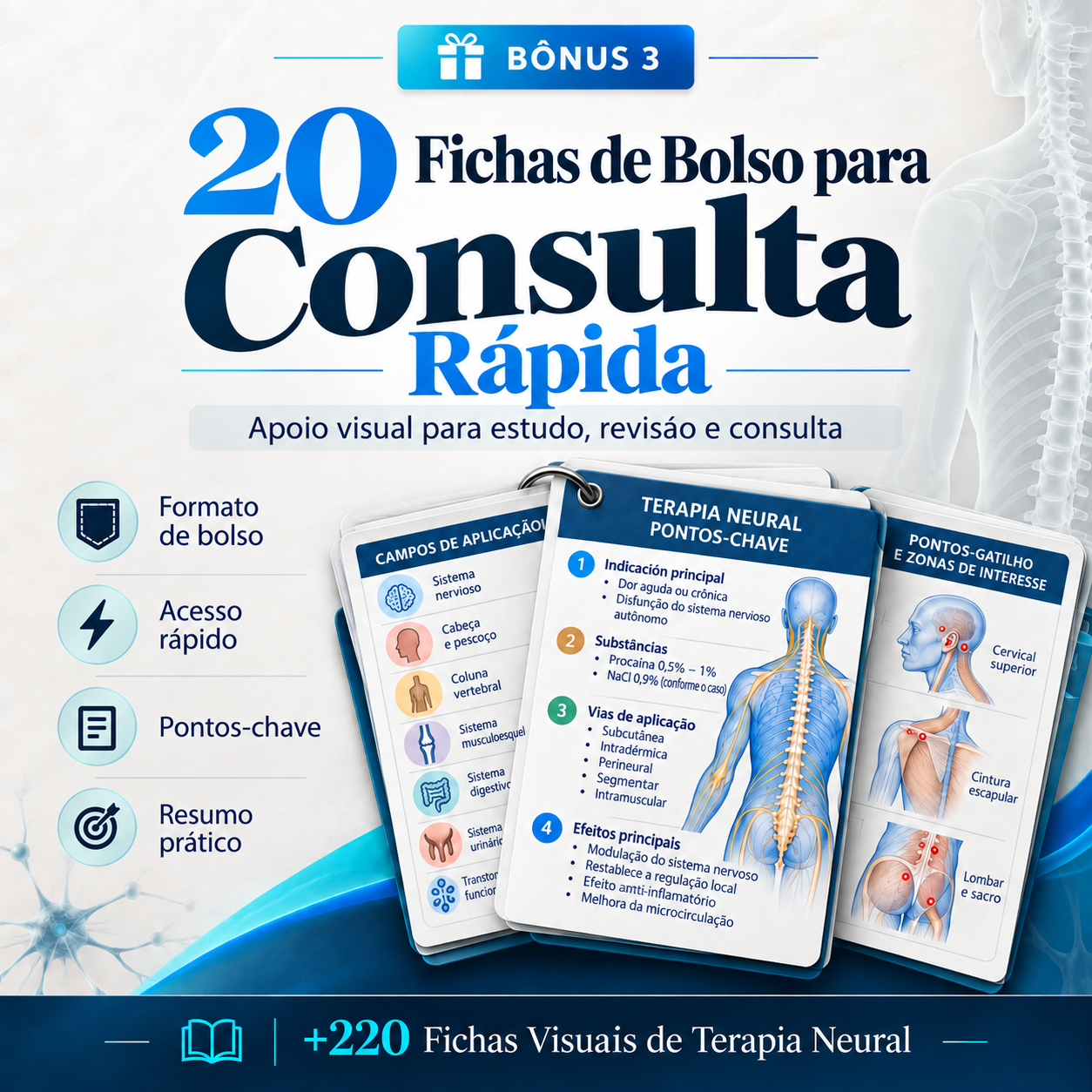 Fichas de Bolso para Consulta Rápida