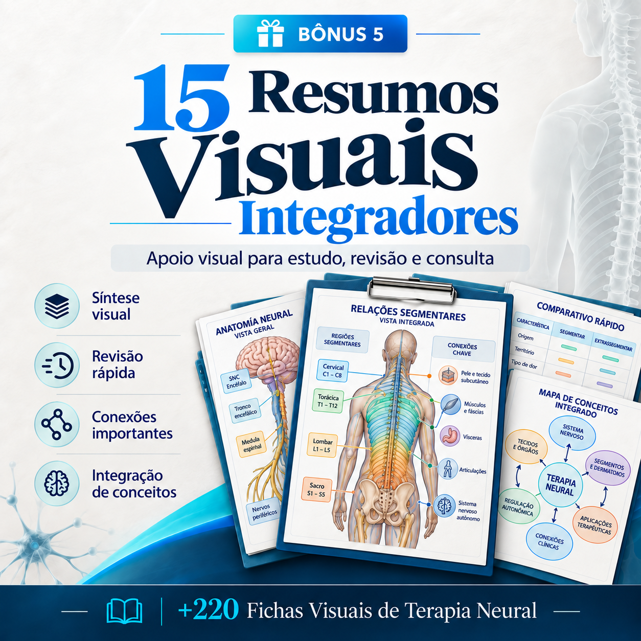 Resumos Visuais Integradores